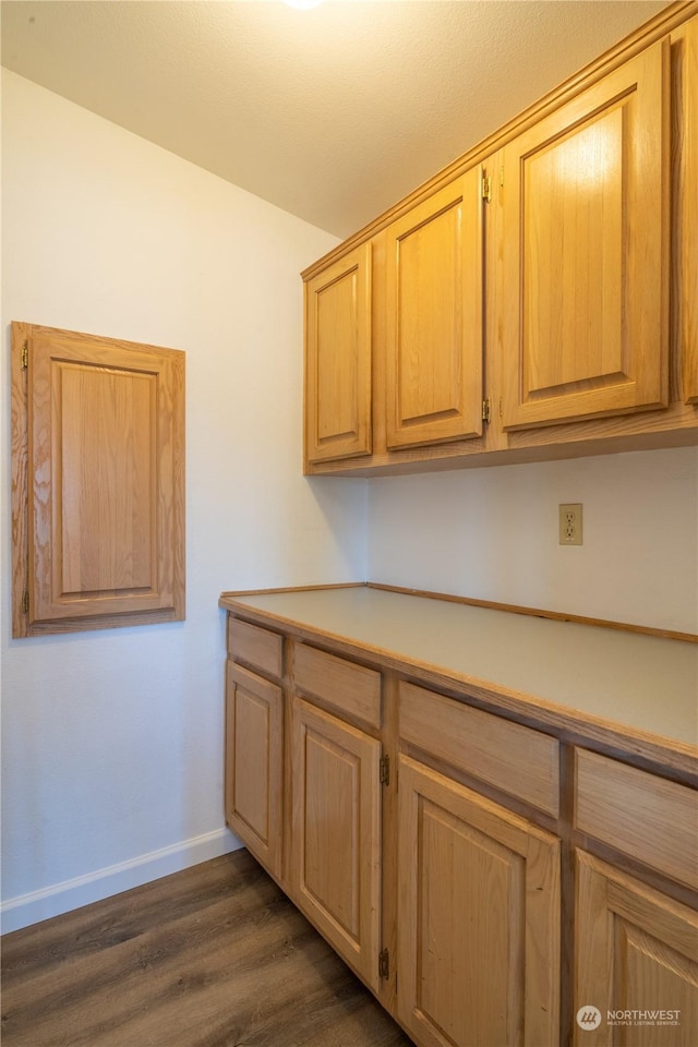 kitchen featuring dark hardwood / wood-style flooring