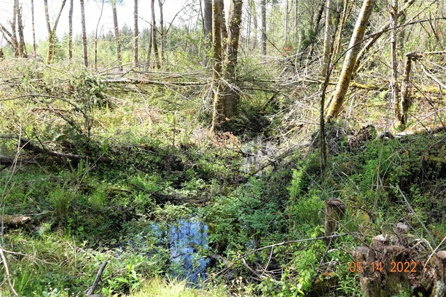13921 Old Farm Ln SE, Yelm, WA 98597