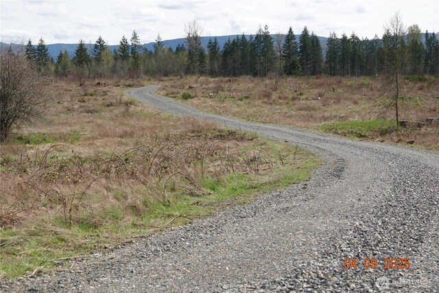 13921 Old Farm Ln SE, Yelm, WA 98597