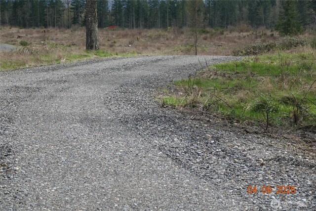 13921 Old Farm Ln SE, Yelm, WA 98597
