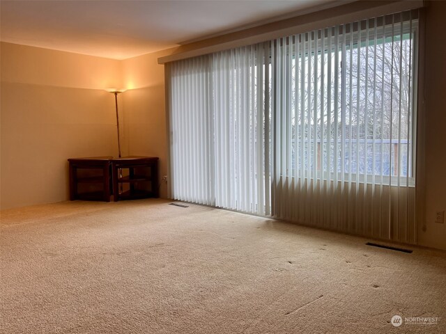 view of carpeted spare room