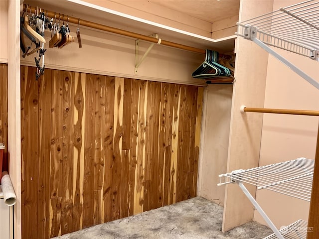 spacious closet featuring carpet flooring