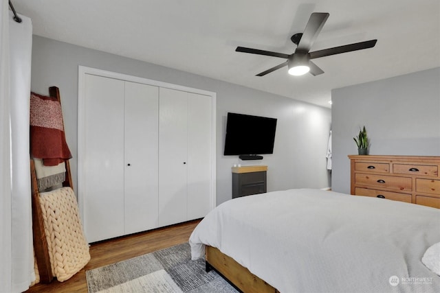 bedroom featuring a closet, ceiling fan, and light wood-type flooring