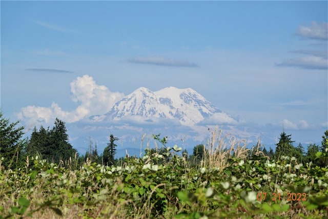 13918 Old Farm Ln SE, Yelm, WA 98597
