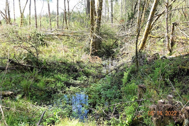 13918 Old Farm Ln SE, Yelm, WA 98597