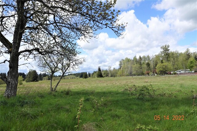 13918 Old Farm Ln SE, Yelm, WA 98597