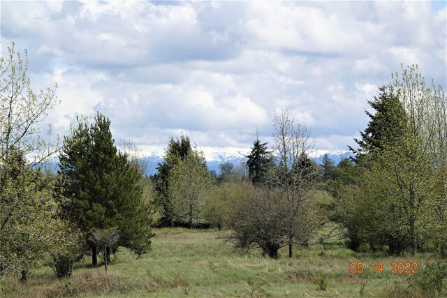 13918 Old Farm Ln SE, Yelm, WA 98597