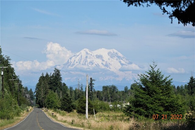 13918 Old Farm Ln SE, Yelm, WA 98597
