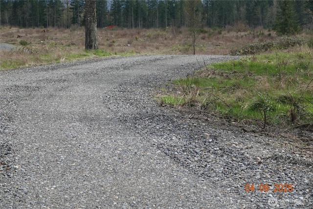 13918 Old Farm Ln SE, Yelm, WA 98597