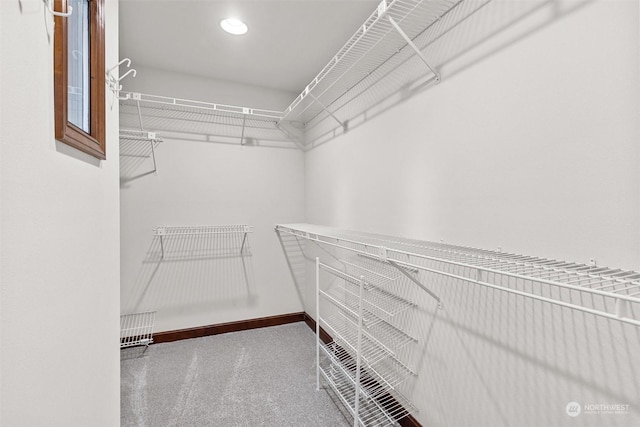 spacious closet with carpet floors