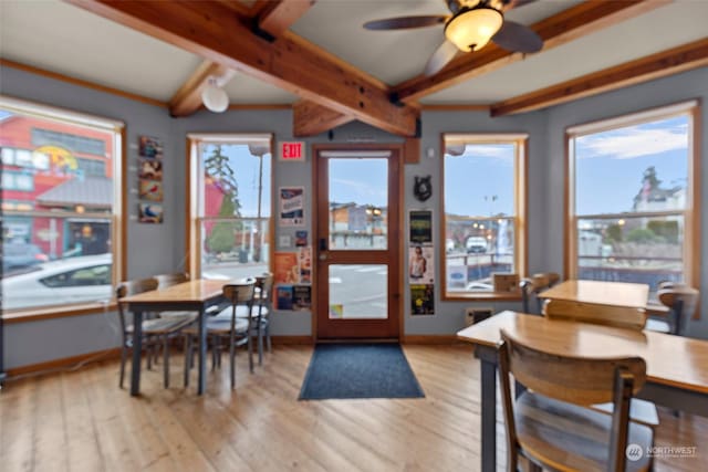 dining area featuring beamed ceiling, ceiling fan, and light hardwood / wood-style flooring