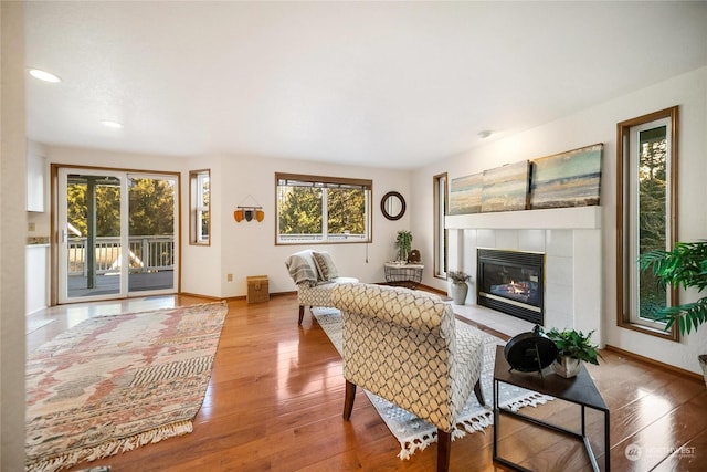 living room with a fireplace and light hardwood / wood-style flooring