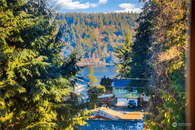 drone / aerial view with a water view