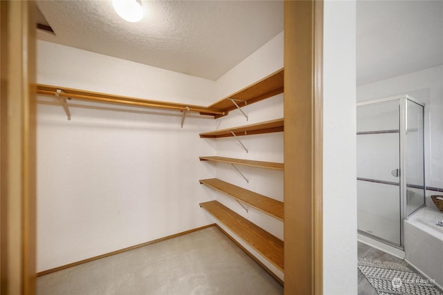 spacious closet with carpet floors