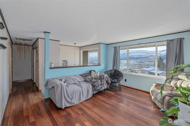 living room featuring a mountain view, a textured ceiling, baseboards, and wood finished floors