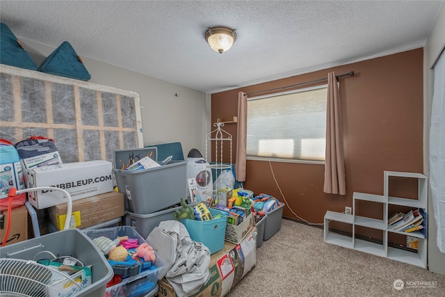 interior space with a textured ceiling and carpet flooring