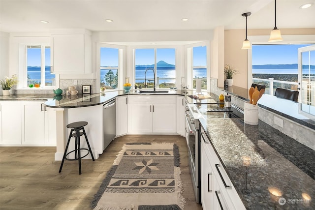 kitchen featuring stainless steel dishwasher, dark wood-type flooring, a sink, and white cabinets