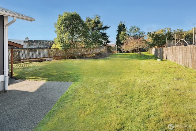 view of yard with a fenced backyard