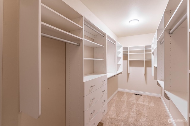 spacious closet with light carpet