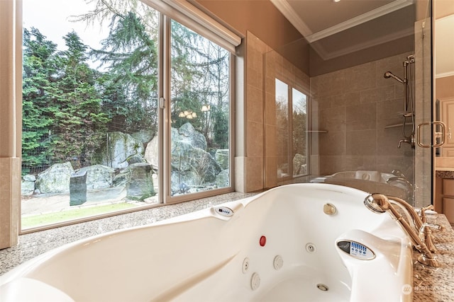 bathroom with ornamental molding and a shower with shower door