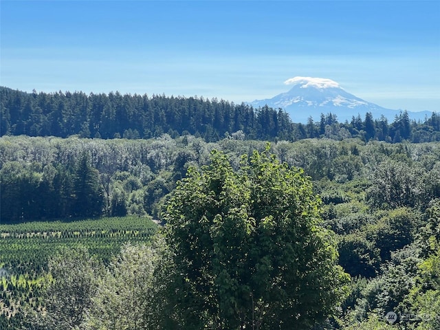 view of mountain feature