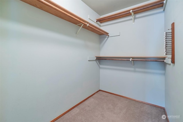 spacious closet with light carpet