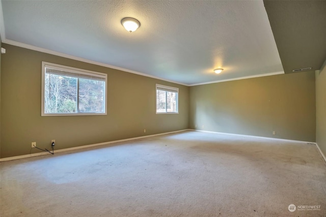 spare room with crown molding, light carpet, and a textured ceiling