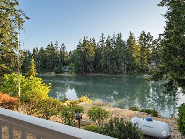 view of water feature