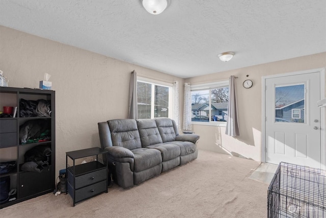 carpeted living room featuring a textured ceiling