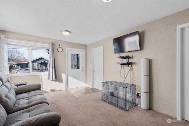 carpeted living room featuring a textured ceiling