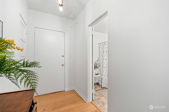 foyer entrance featuring light hardwood / wood-style floors