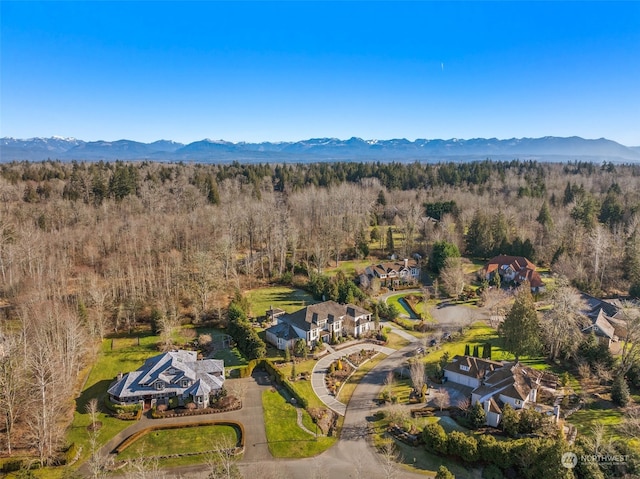 drone / aerial view with a mountain view