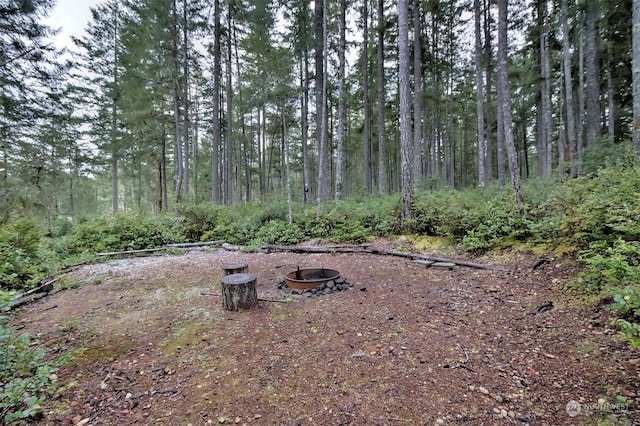 view of yard featuring a fire pit