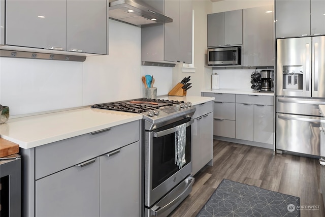 kitchen featuring dark wood-type flooring, gray cabinets, stainless steel appliances, and exhaust hood