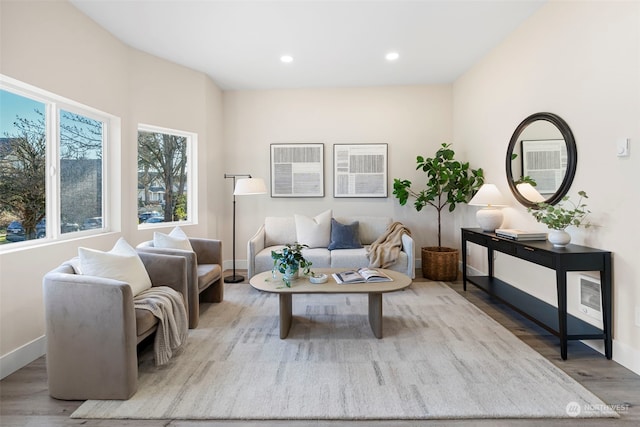 living area featuring wood-type flooring