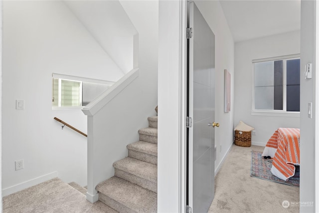 stairway featuring carpet flooring