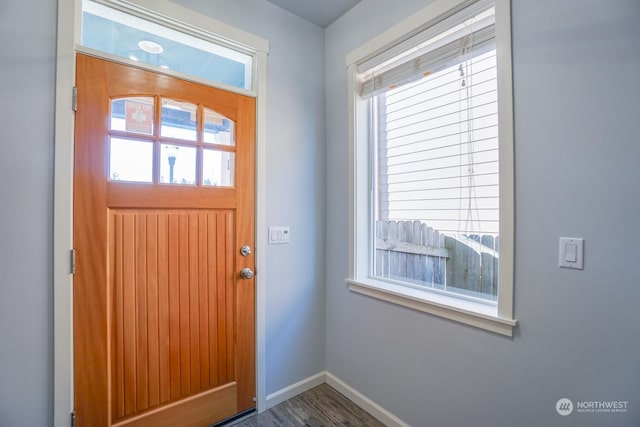 doorway to outside with dark hardwood / wood-style flooring and a wealth of natural light