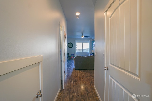 hall featuring dark hardwood / wood-style floors