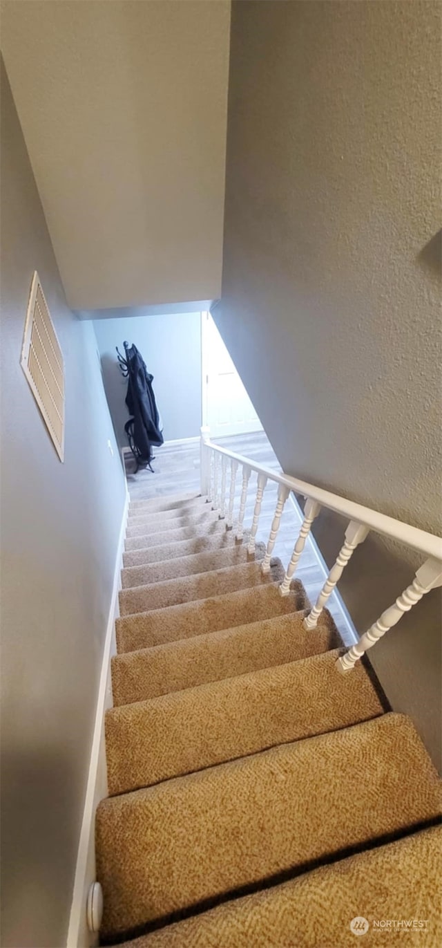 staircase featuring carpet