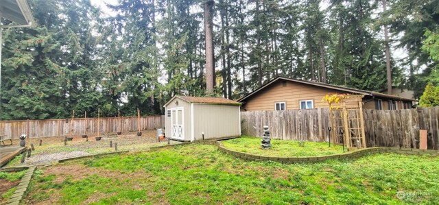 view of yard with a shed