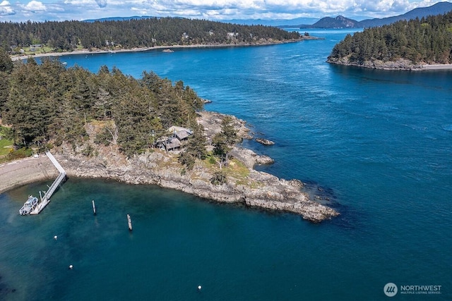 bird's eye view featuring a water and mountain view