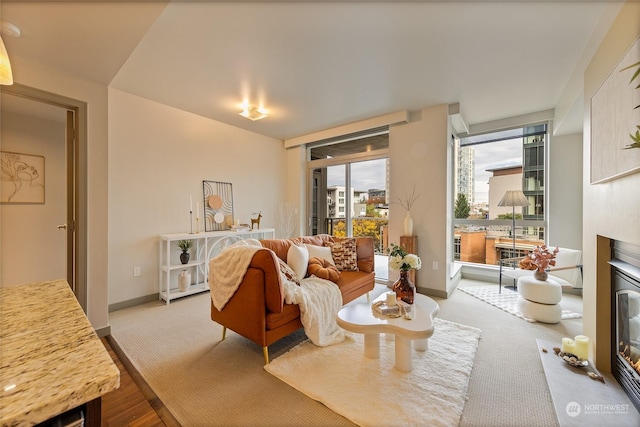 living room with light carpet