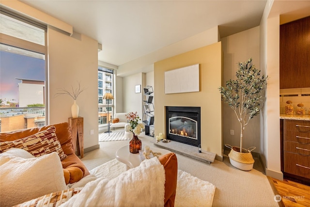 living room featuring light hardwood / wood-style floors and a healthy amount of sunlight