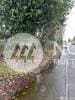 15207 40th Ave W, Lynnwood, WA 98087 - photo 5