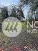 15207 40th Ave W, Lynnwood, WA 98087 - photo 9