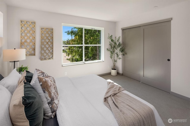 carpeted bedroom featuring a closet