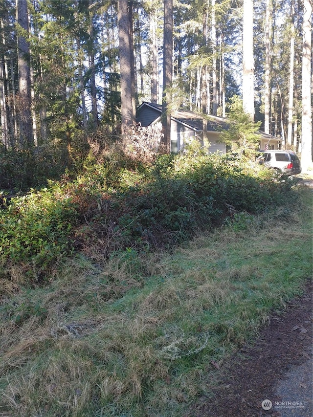 9214 122nd Ave, Anderson Island WA, 98303 land for sale