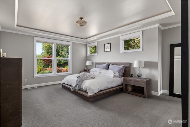 carpeted bedroom with crown molding and a raised ceiling