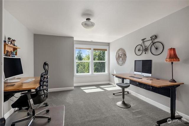 home office featuring carpet flooring