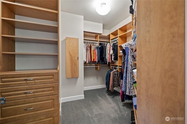 walk in closet with dark colored carpet